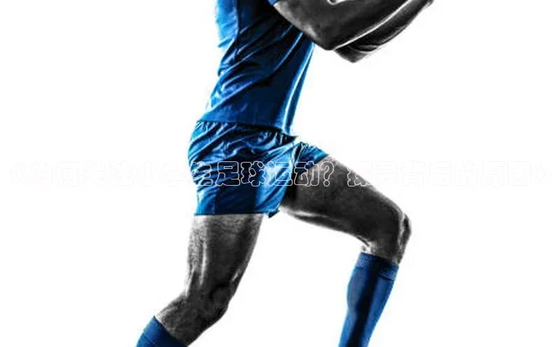 星空体育app官网下载安卓宣亚国际《为何关注小学生足球运动？探寻背后的原因》