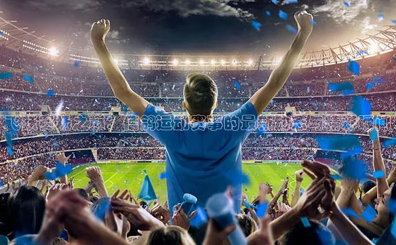 飞跃赛场之巅：信鸽运动赛事的最新动态与精彩瞬间