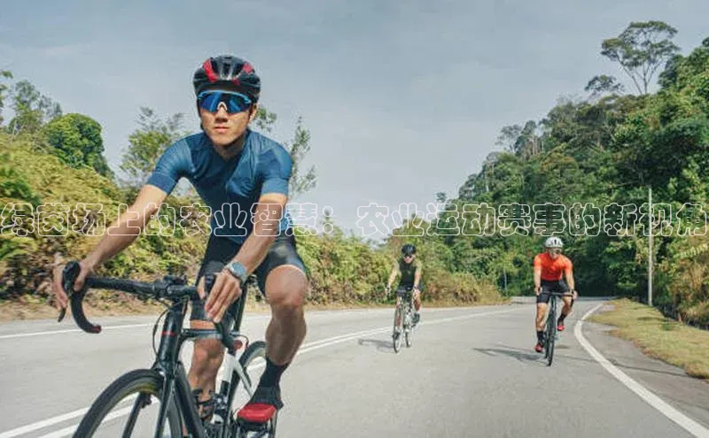 绿茵场上的农业智慧：农业运动赛事的新视角