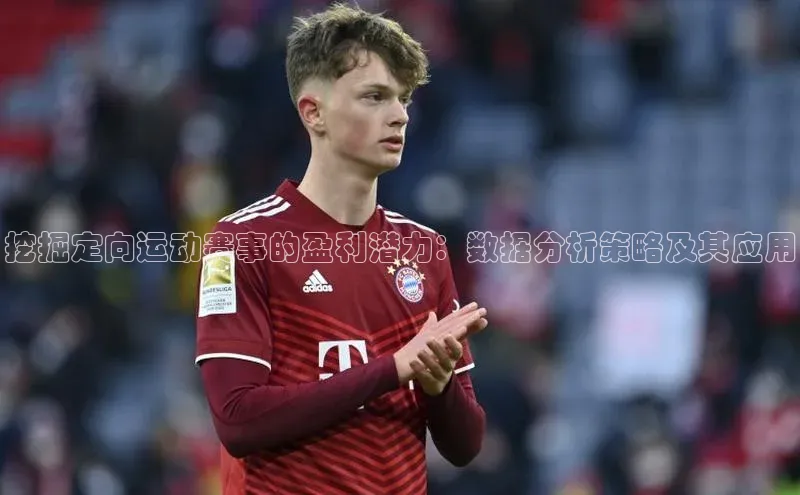 挖掘定向运动赛事的盈利潜力：数据分析策略及其应用