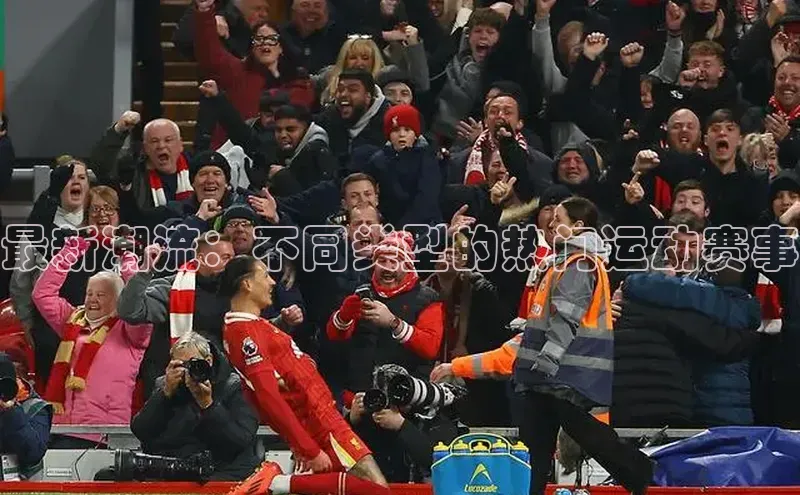 最新潮流：不同类型的热门运动赛事
