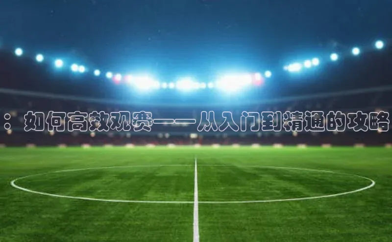 ：如何高效观赛——从入门到精通的攻略