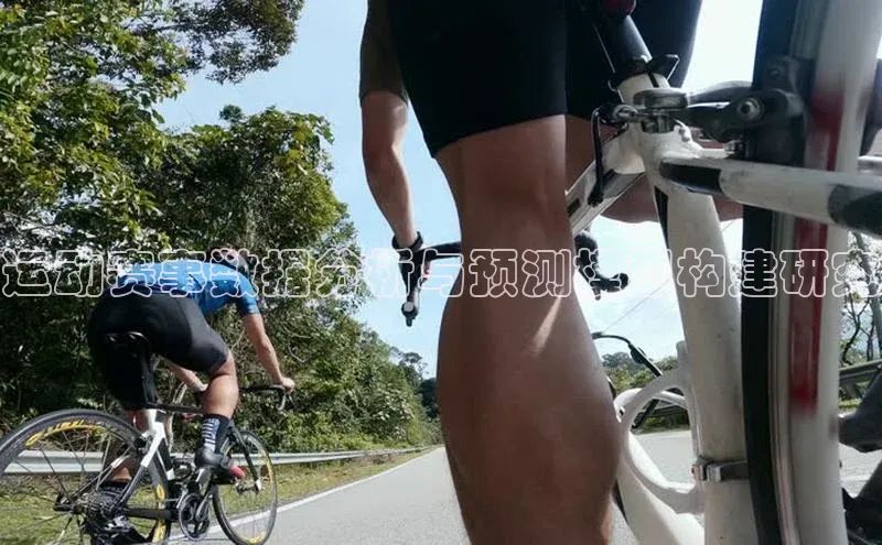 运动赛事数据分析与预测模型构建研究