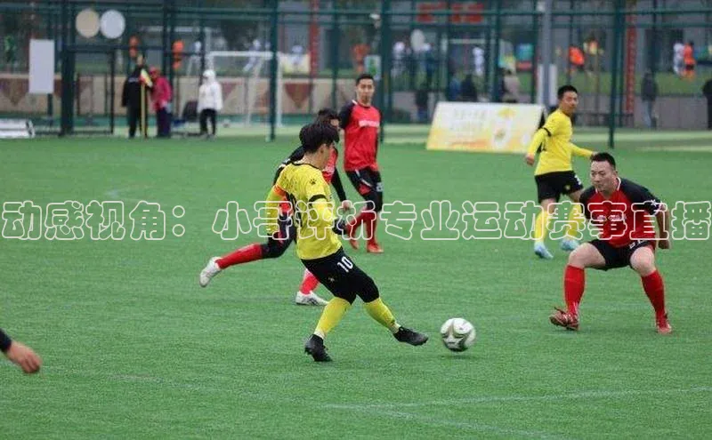 动感视角：小哥评析专业运动赛事直播
