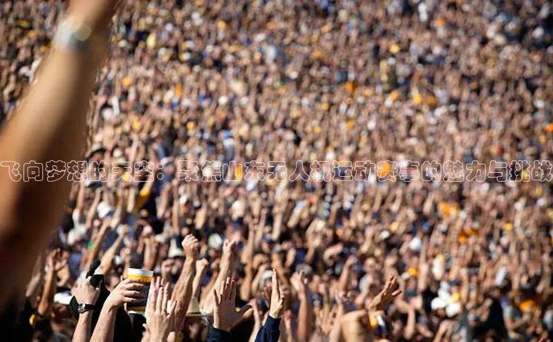 飞向梦想的天空：聚焦山东无人机运动赛事的魅力与挑战