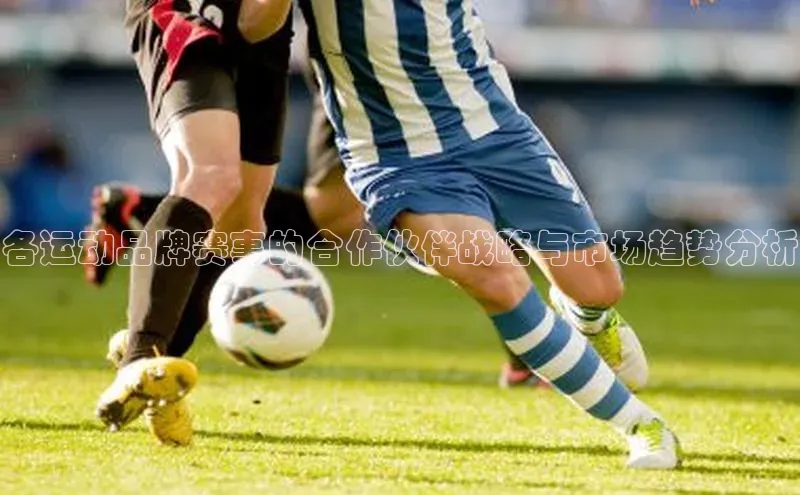 各运动品牌赛事的合作伙伴战略与市场趋势分析