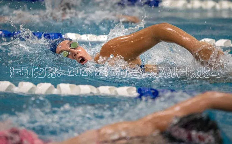 运动之魂：2023年运动会赛事规程概览与