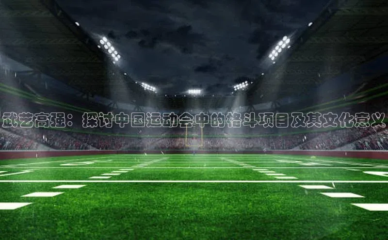 武艺高强：探讨中国运动会中的格斗项目及其文化意义