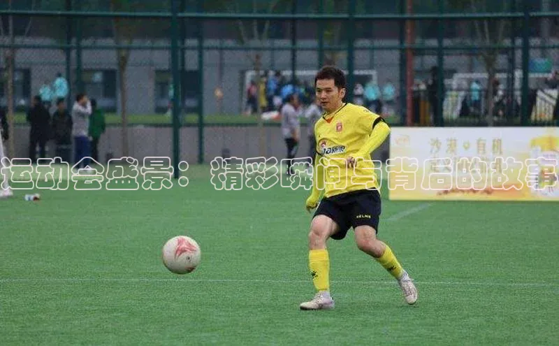 运动会盛景：精彩瞬间与背后的故事