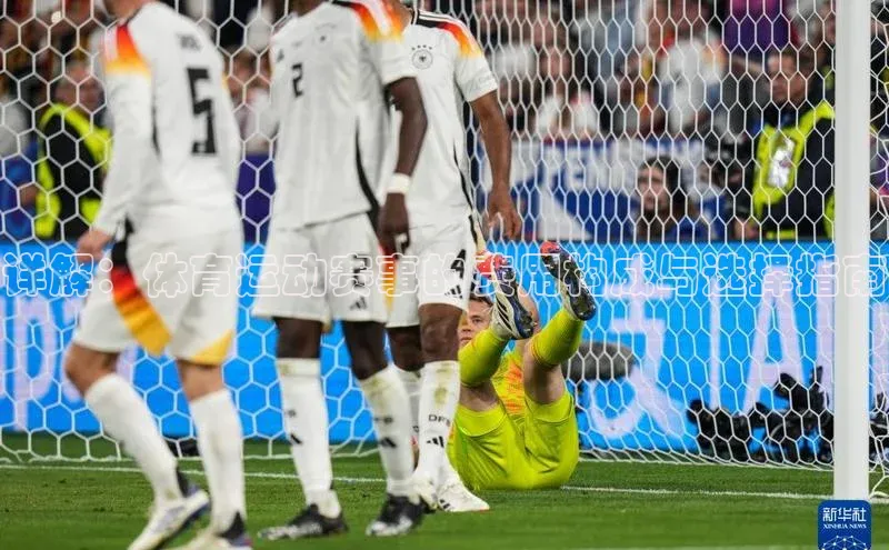 详解：体育运动赛事的费用构成与选择指南