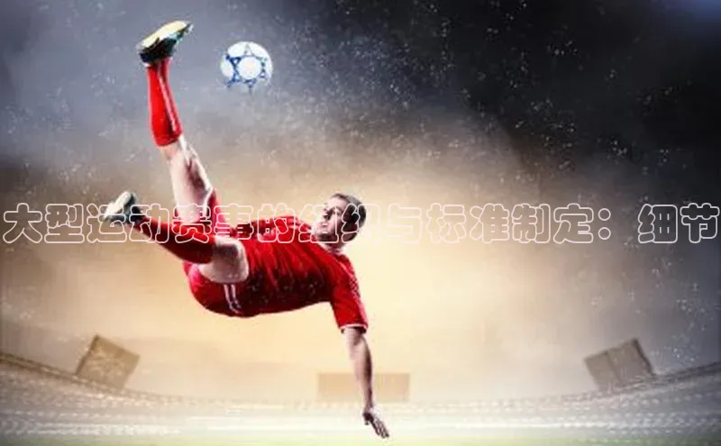 大型运动赛事的组织与标准制定：细节