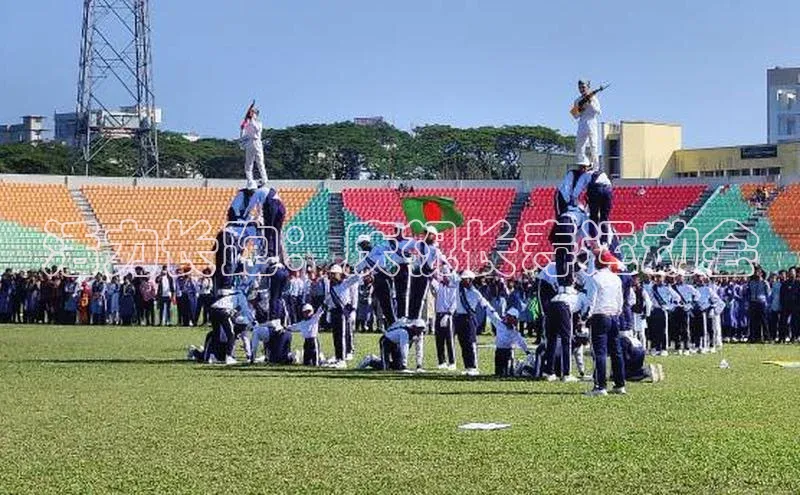 活力长跑：庆祝长寿运动会