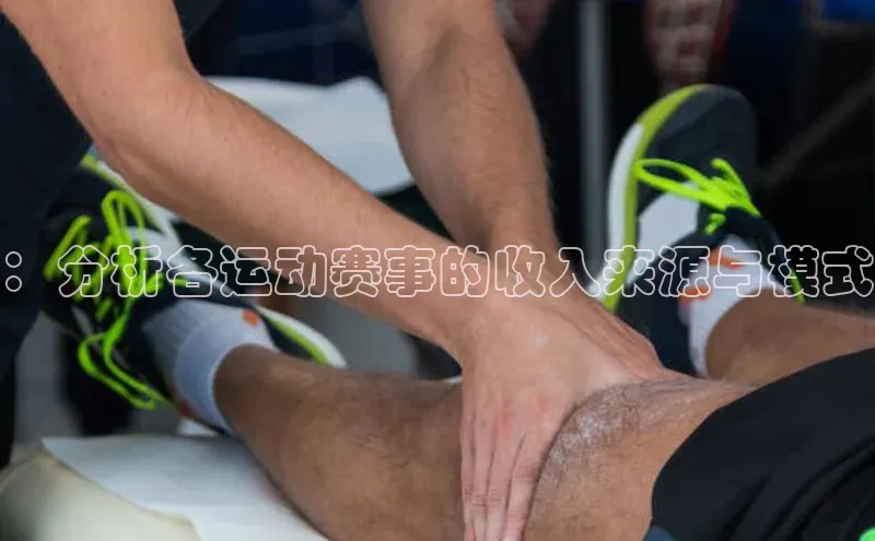 ：分析各运动赛事的收入来源与模式