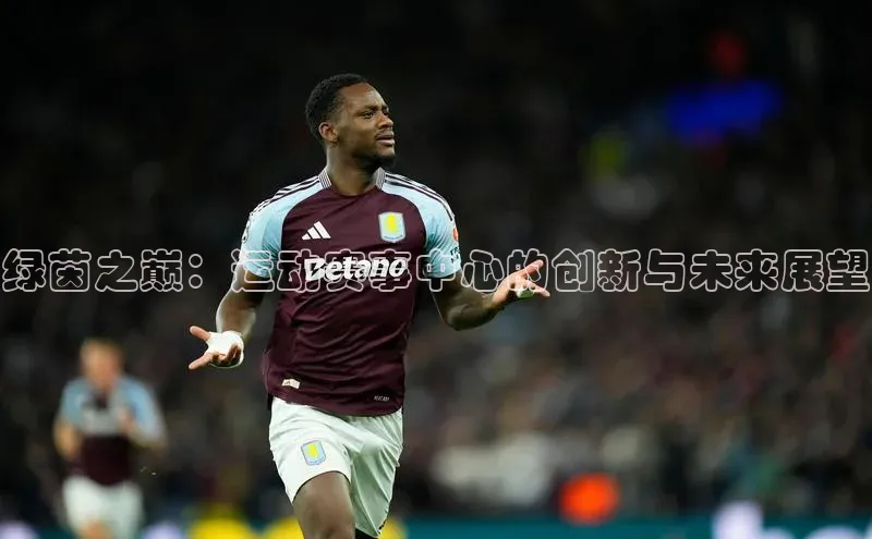 绿茵之巅：运动赛事中心的创新与未来展望
