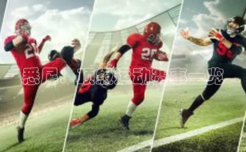 悉尼：顶级运动赛事一览