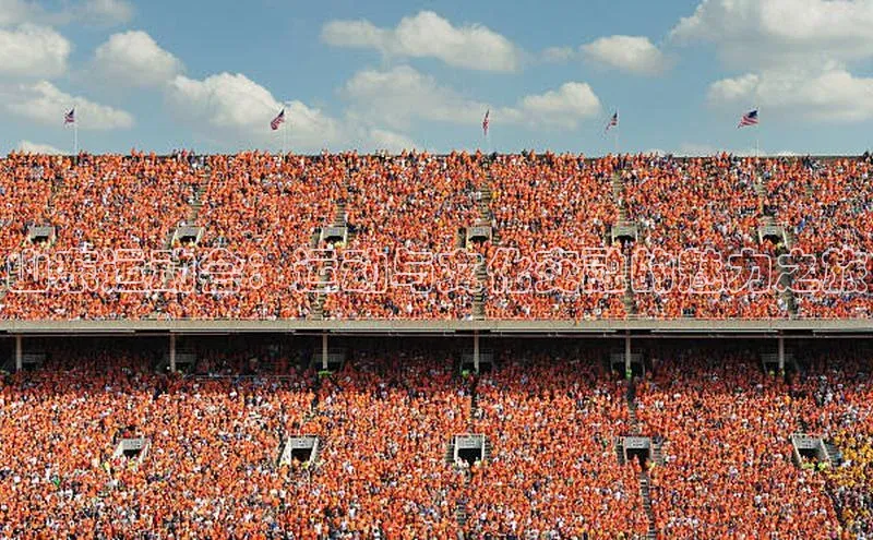 山东运动会：运动与文化交融的魅力之旅