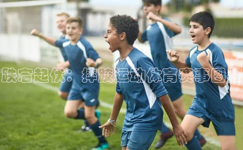 跌宕起伏：摔跤运动体育赛事图鉴