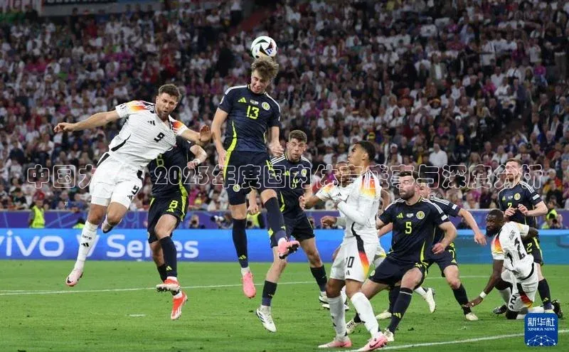中国力量：2023年度国内体育盛事与深度分析