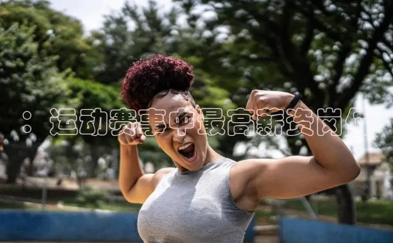 ：运动赛事中最高薪资岗位